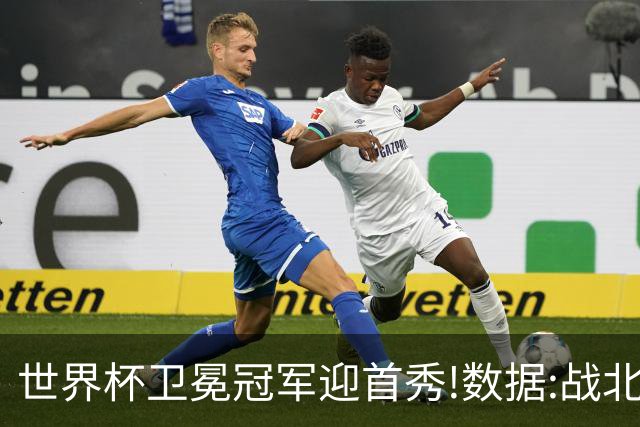 世界杯卫冕冠军迎首秀!数据:战北非之狐望小胜